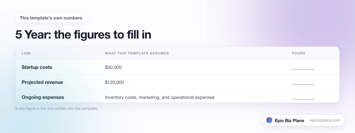 The startup cost, projected revenue and ongoing expenses this 5 Year template assumes, with a blank column to fill in.