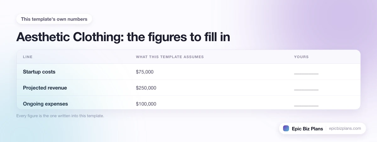 The startup cost, projected revenue and ongoing expenses this Aesthetic Clothing template assumes, with a blank column to fill in.
