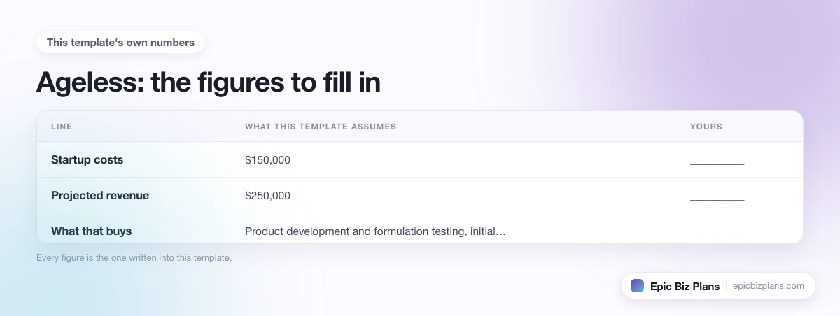 The startup cost, projected revenue and ongoing expenses this Ageless template assumes, with a blank column to fill in.