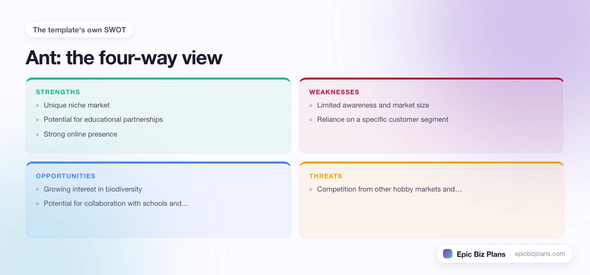 A four-quadrant SWOT grid for a Ant business: strengths, weaknesses, opportunities and threats.
