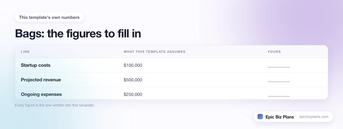The startup cost, projected revenue and ongoing expenses this Bags template assumes, with a blank column to fill in.