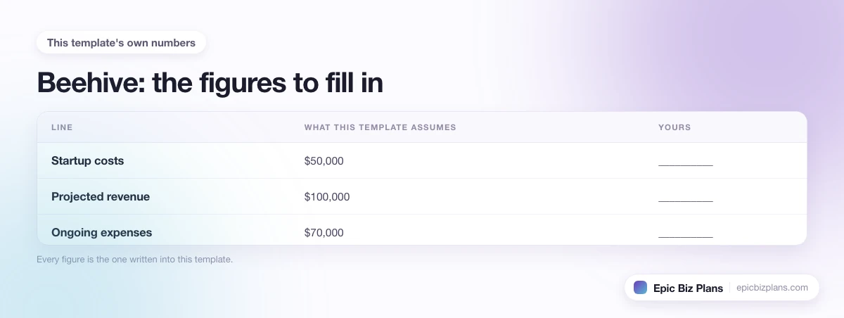 The startup cost, projected revenue and ongoing expenses this Beehive template assumes, with a blank column to fill in.