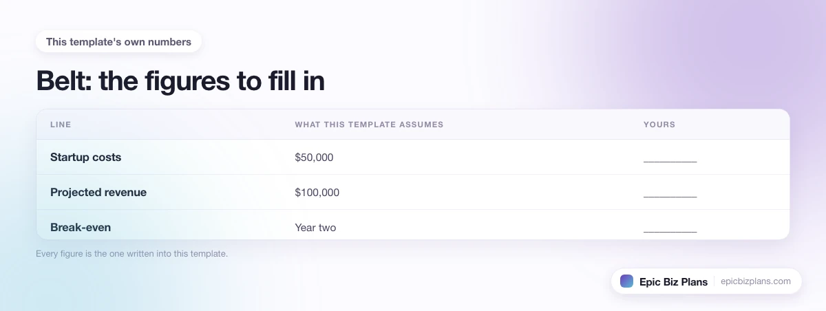 The startup cost, projected revenue and ongoing expenses this Belt template assumes, with a blank column to fill in.