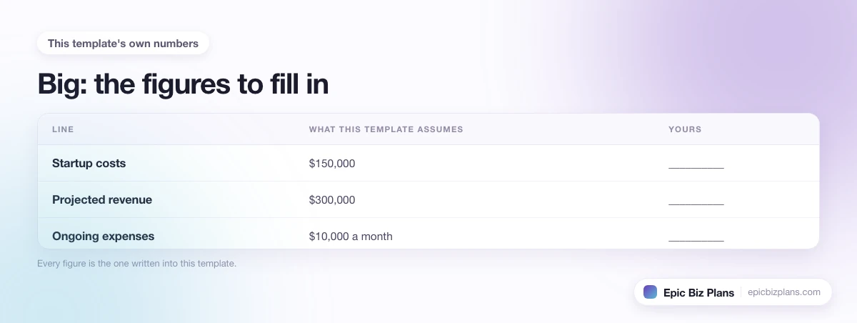 The startup cost, projected revenue and ongoing expenses this Big template assumes, with a blank column to fill in.