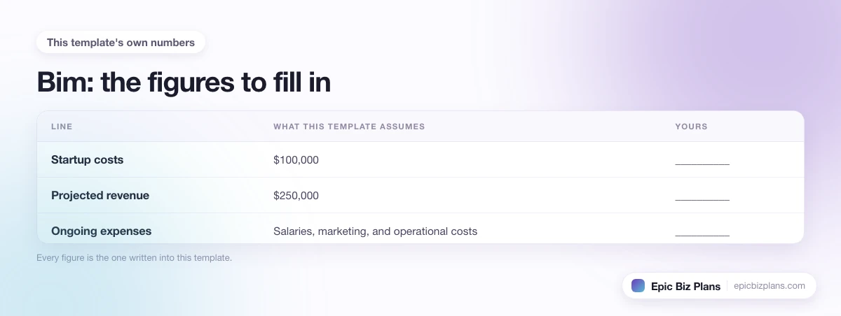 The startup cost, projected revenue and ongoing expenses this Bim template assumes, with a blank column to fill in.