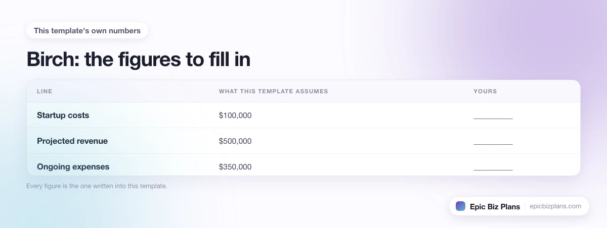 The startup cost, projected revenue and ongoing expenses this Birch template assumes, with a blank column to fill in.