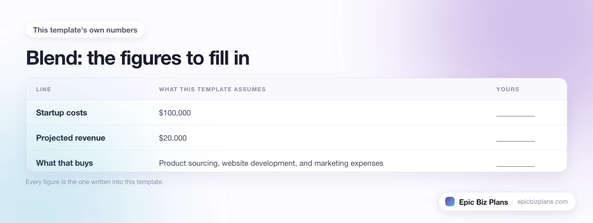 The startup cost, projected revenue and ongoing expenses this Blend template assumes, with a blank column to fill in.