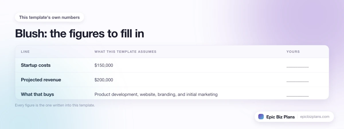 The startup cost, projected revenue and ongoing expenses this Blush template assumes, with a blank column to fill in.
