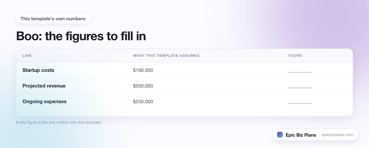 The startup cost, projected revenue and ongoing expenses this Boo template assumes, with a blank column to fill in.