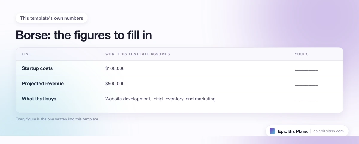 The startup cost, projected revenue and ongoing expenses this Borse template assumes, with a blank column to fill in.