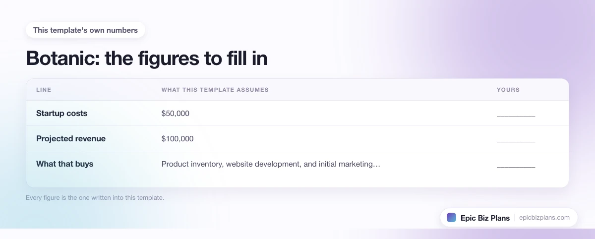 The startup cost, projected revenue and ongoing expenses this Botanic template assumes, with a blank column to fill in.