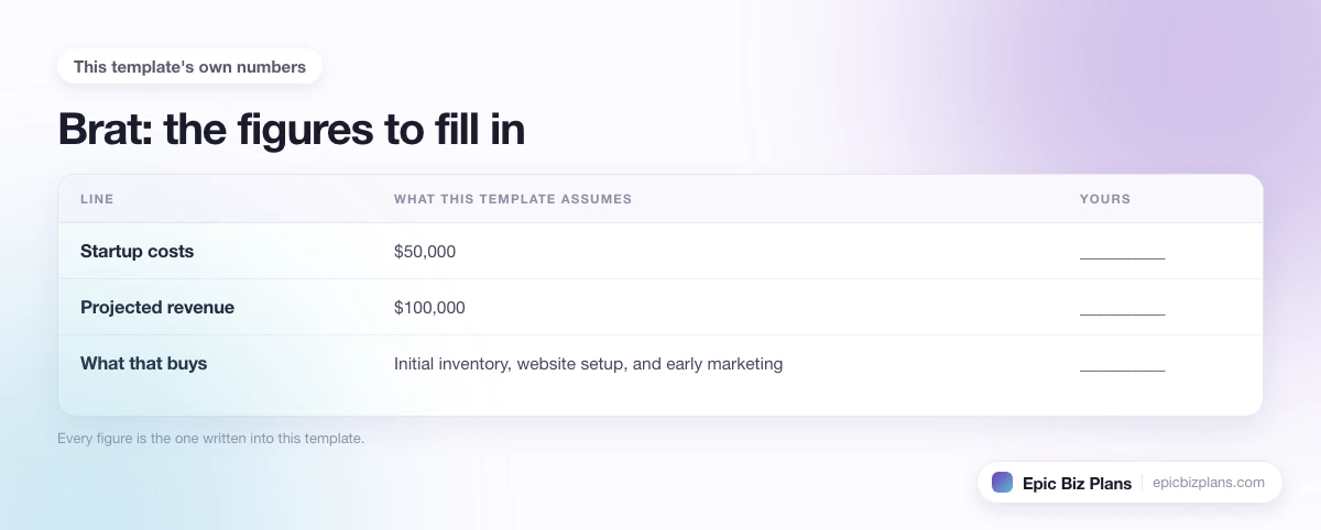 The startup cost, projected revenue and ongoing expenses this Brat template assumes, with a blank column to fill in.