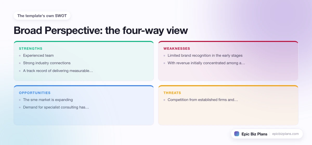 A four-quadrant SWOT grid for a Broad Perspective business: strengths, weaknesses, opportunities and threats.