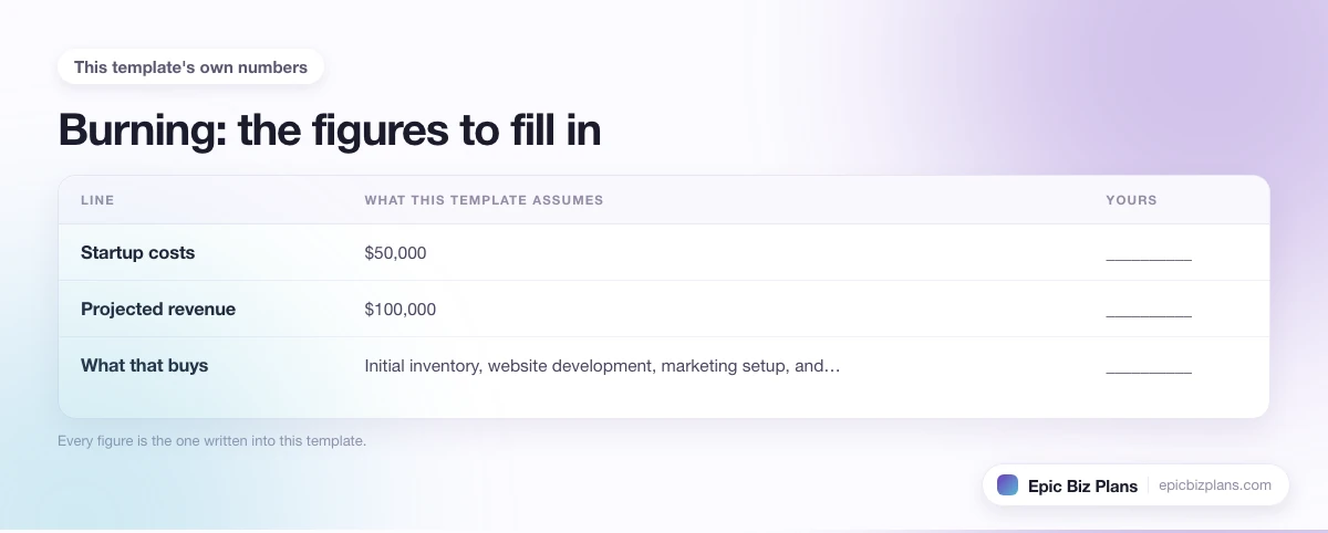 The startup cost, projected revenue and ongoing expenses this Burning template assumes, with a blank column to fill in.