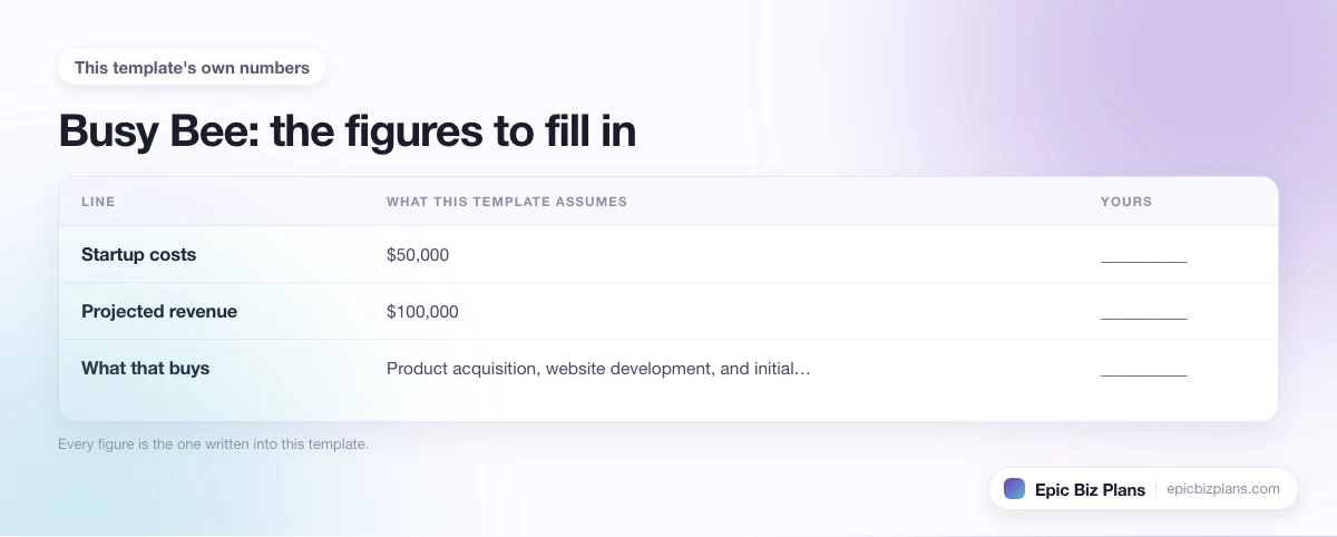 The startup cost, projected revenue and ongoing expenses this Busy Bee template assumes, with a blank column to fill in.