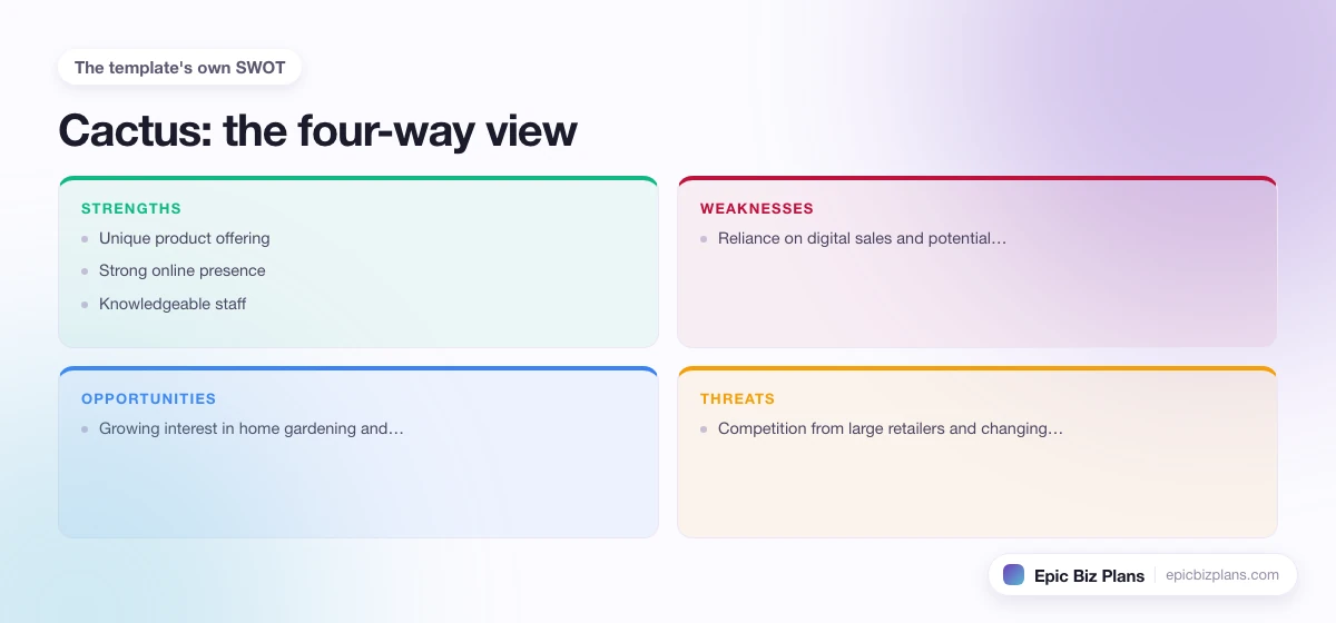 A four-quadrant SWOT grid for a Cactus business: strengths, weaknesses, opportunities and threats.