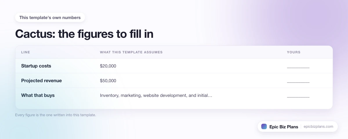 The startup cost, projected revenue and ongoing expenses this Cactus template assumes, with a blank column to fill in.