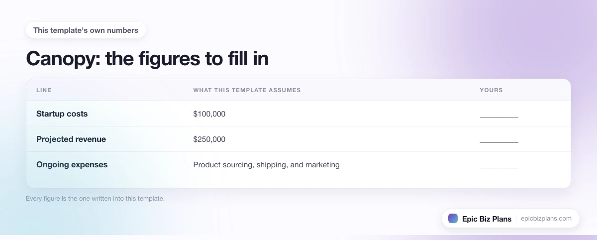 The startup cost, projected revenue and ongoing expenses this Canopy template assumes, with a blank column to fill in.