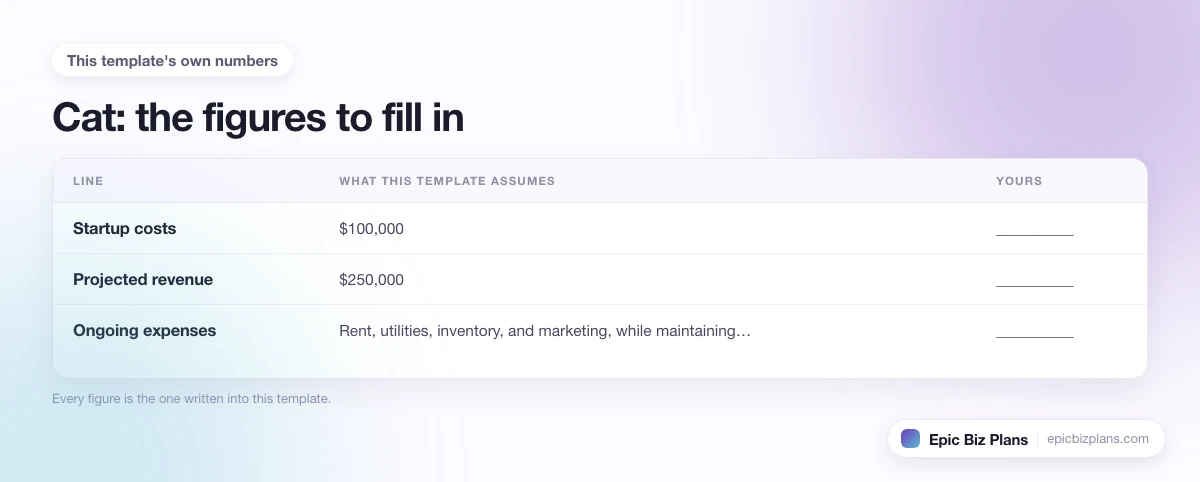 The startup cost, projected revenue and ongoing expenses this Cat template assumes, with a blank column to fill in.