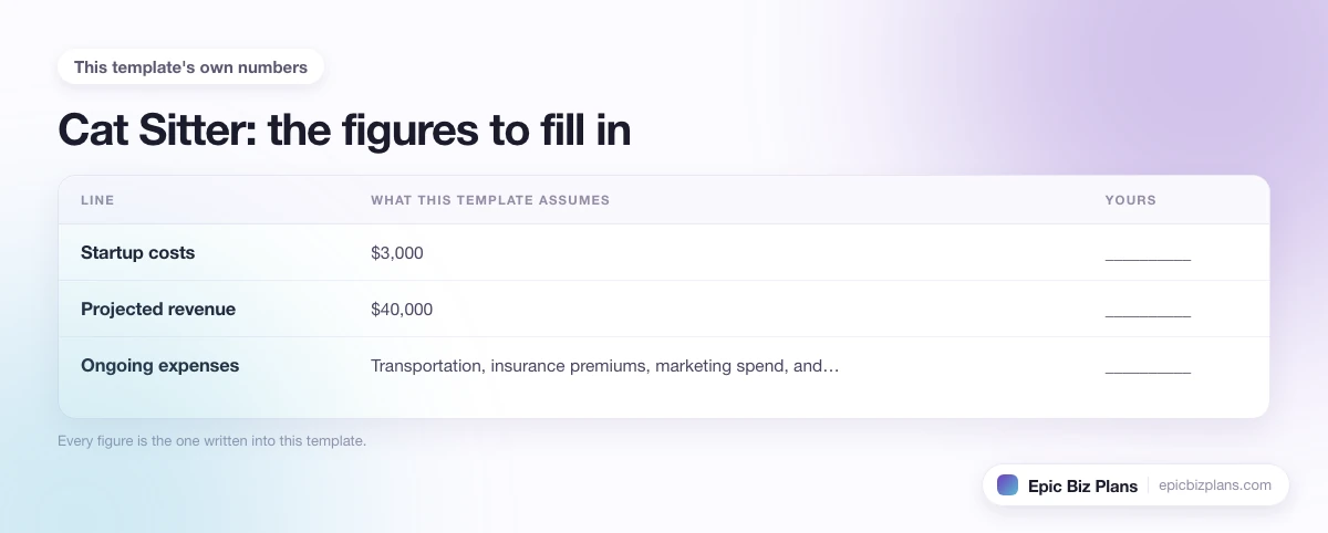 The startup cost, projected revenue and ongoing expenses this Cat Sitter template assumes, with a blank column to fill in.