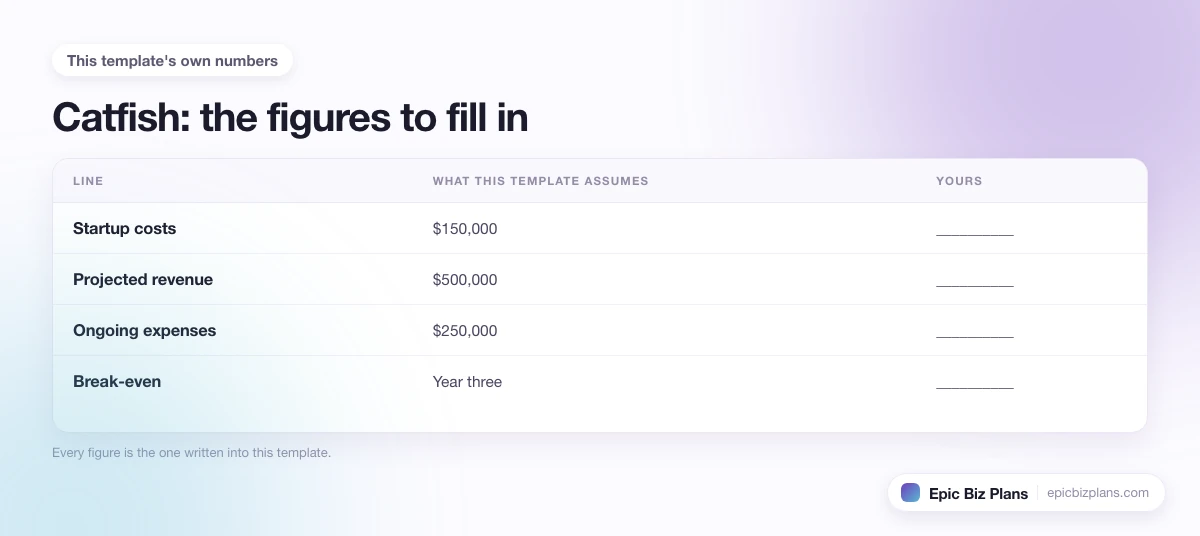 The startup cost, projected revenue and ongoing expenses this Catfish template assumes, with a blank column to fill in.