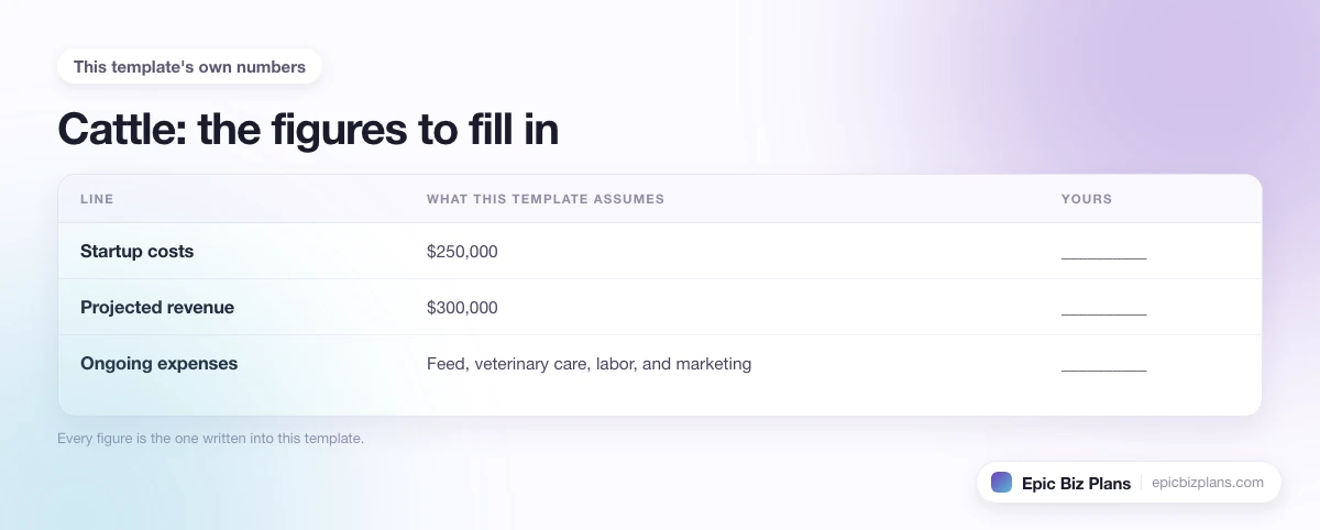 The startup cost, projected revenue and ongoing expenses this Cattle template assumes, with a blank column to fill in.