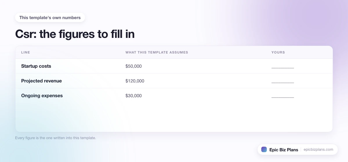 The startup cost, projected revenue and ongoing expenses this Csr template assumes, with a blank column to fill in.