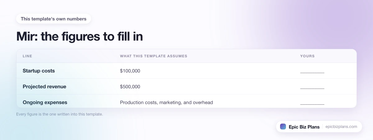 The startup cost, projected revenue and ongoing expenses this Mir template assumes, with a blank column to fill in.